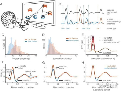 思影科技眼動(dòng)數(shù)據(jù)處理服務(wù)與軟件開發(fā)，賦能精準(zhǔn)視覺(jué)洞察